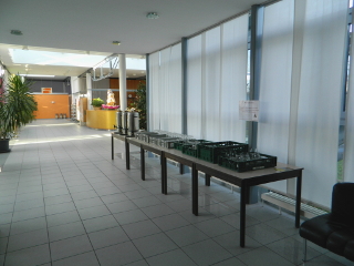 Teeinsel.